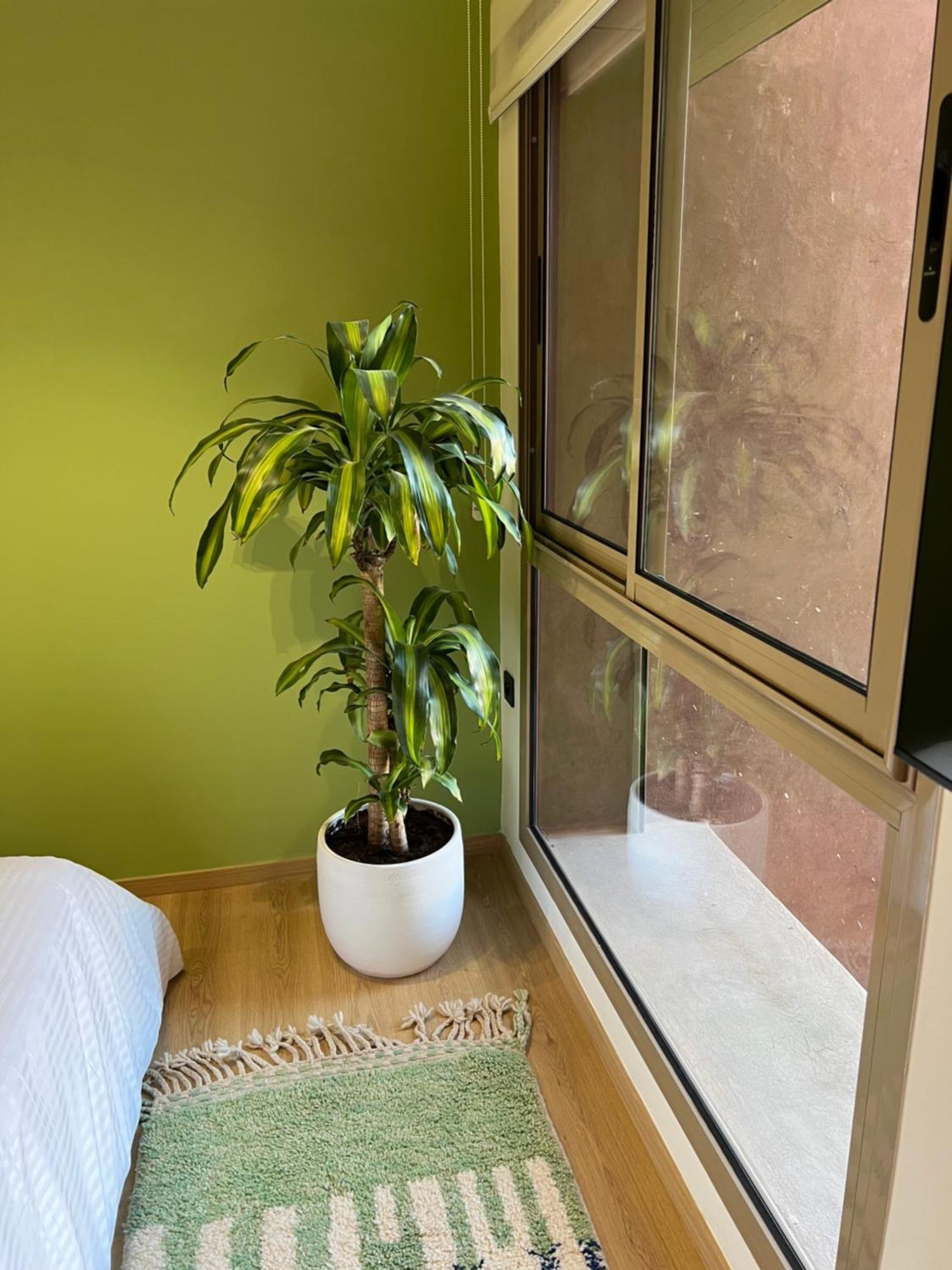 Luxe Appartement A Louer Pour Les Familles Marrakesh Exterior foto